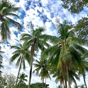 Meet your Posher, Trisha